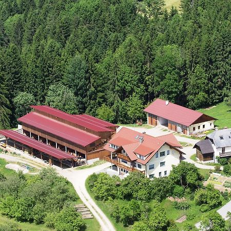 Ferienwohnungen Bauernhof Schilcher Sankt Stefan im Lavanttal Eksteriør billede