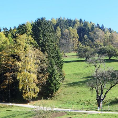 Ferienwohnungen Bauernhof Schilcher Sankt Stefan im Lavanttal Eksteriør billede