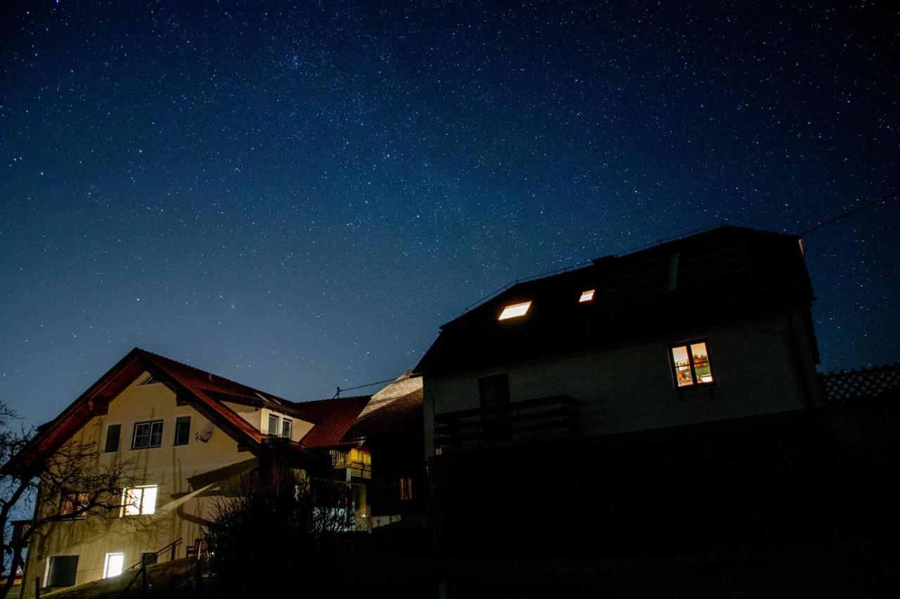 Ferienwohnungen Bauernhof Schilcher Sankt Stefan im Lavanttal Eksteriør billede