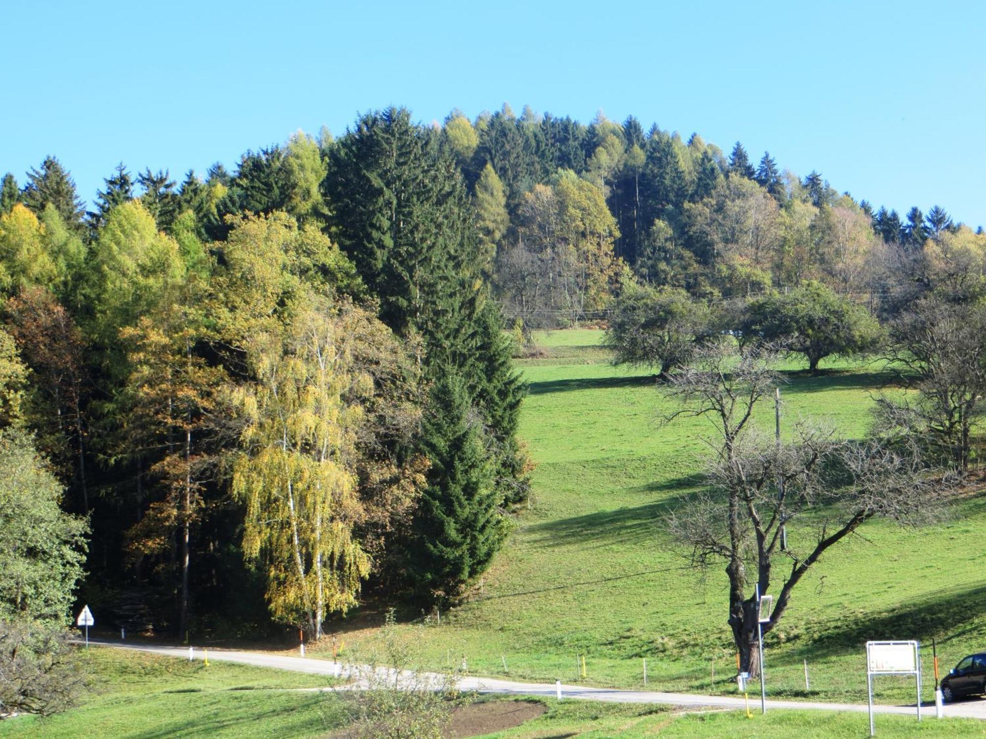 Ferienwohnungen Bauernhof Schilcher Sankt Stefan im Lavanttal Eksteriør billede