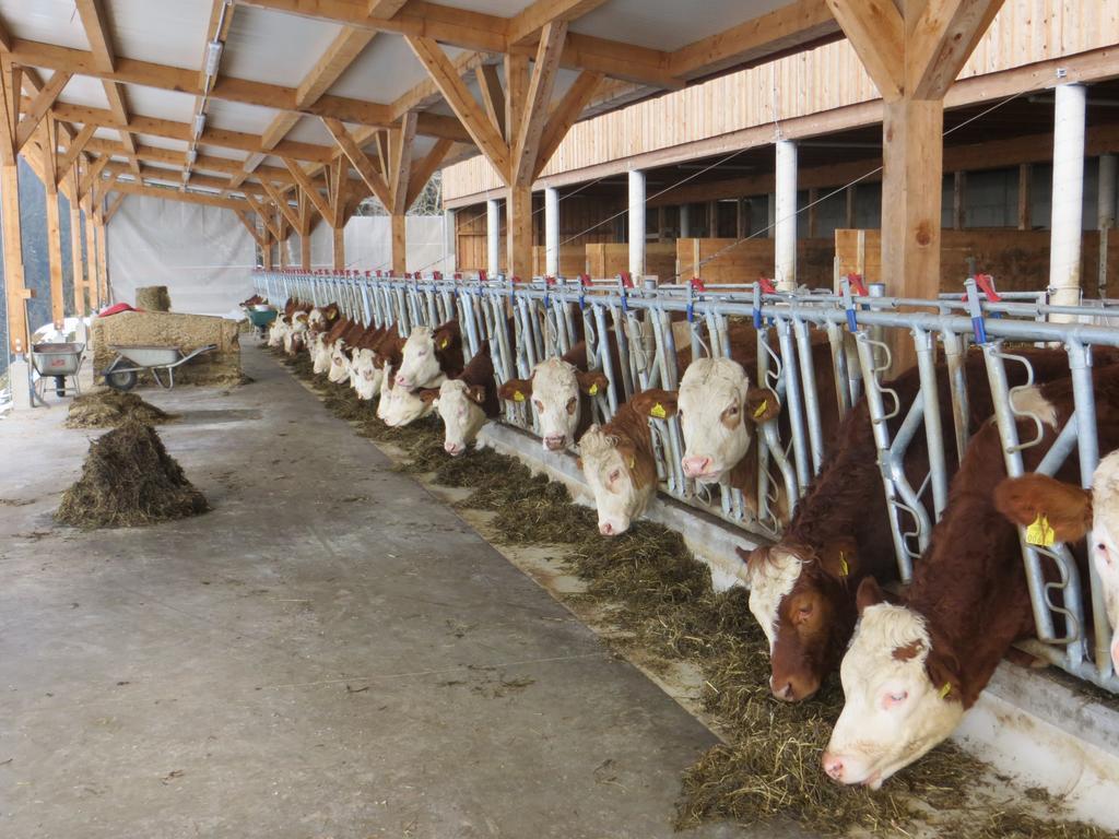 Ferienwohnungen Bauernhof Schilcher Sankt Stefan im Lavanttal Eksteriør billede