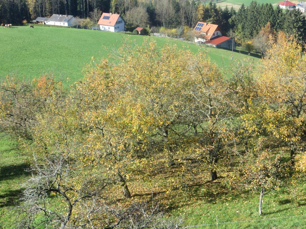 Ferienwohnungen Bauernhof Schilcher Sankt Stefan im Lavanttal Eksteriør billede